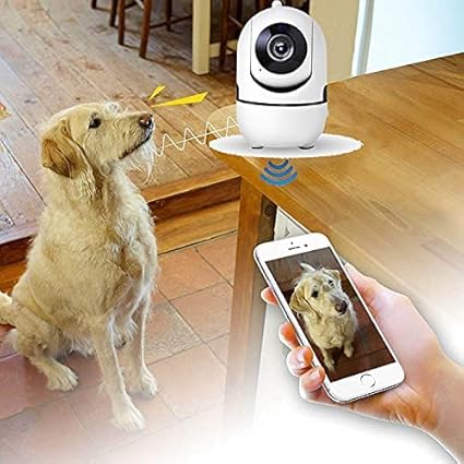 VisionGuard 360