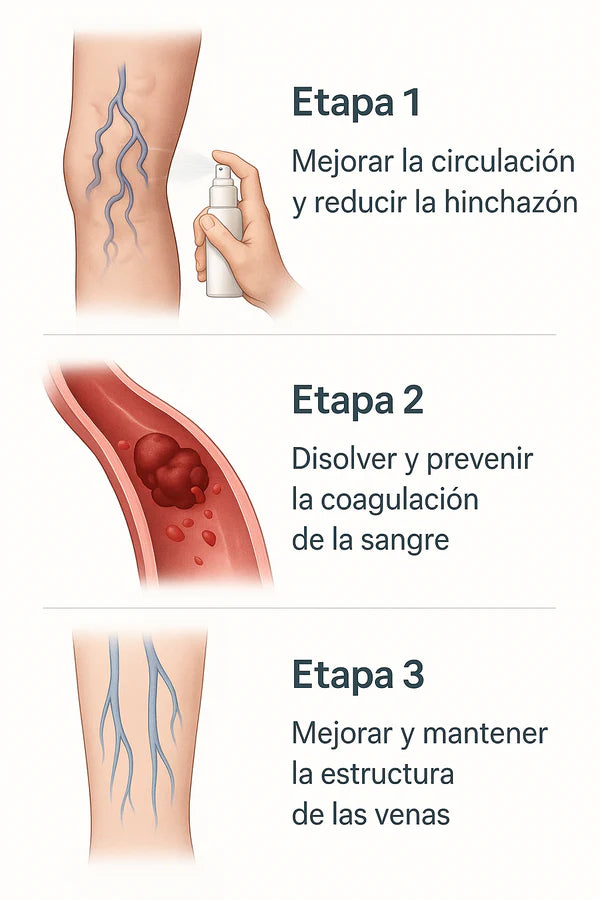 Encabezado